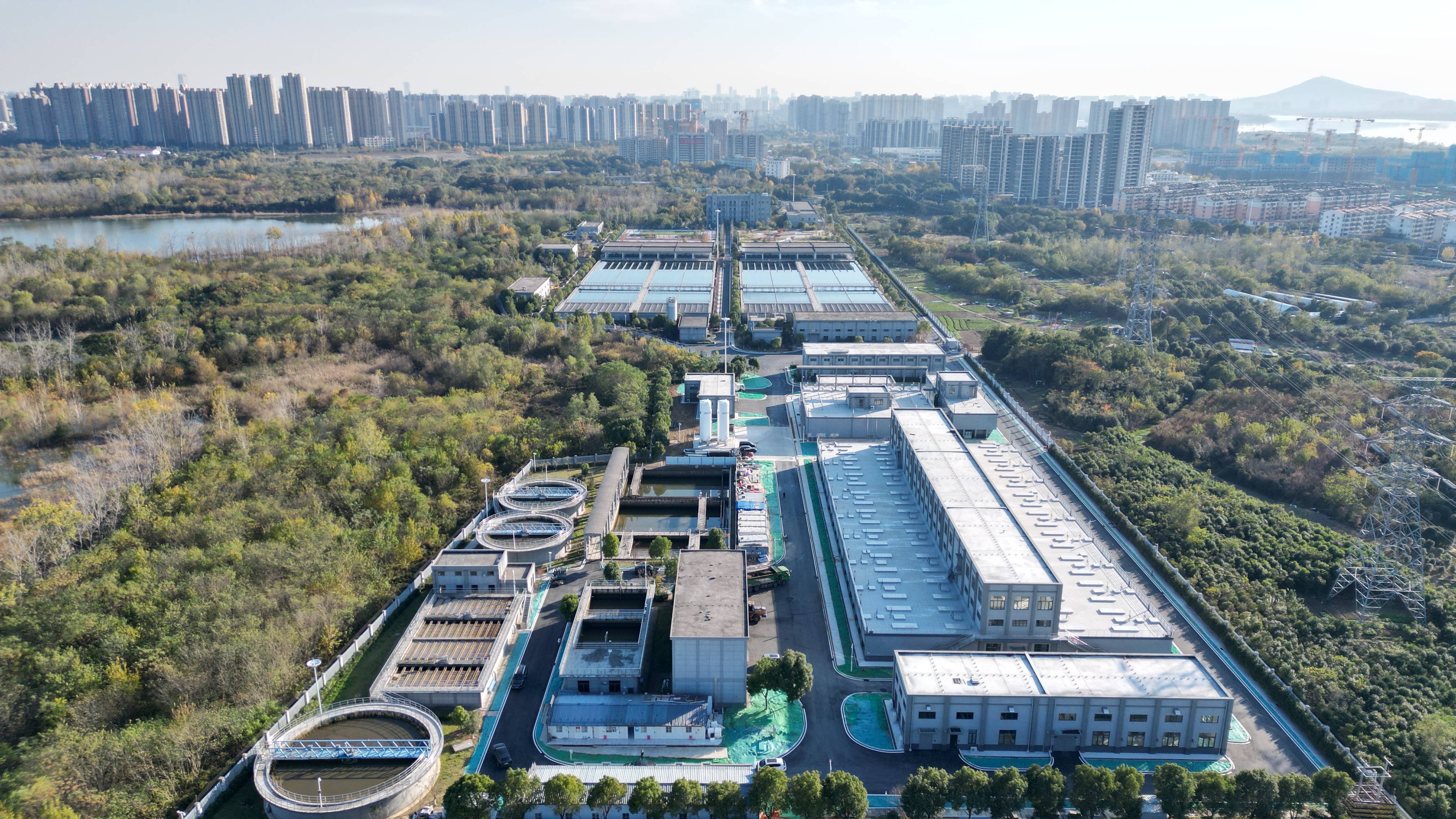 德阳市合肥专业企业价值增长(合肥市重点企业产业目录)