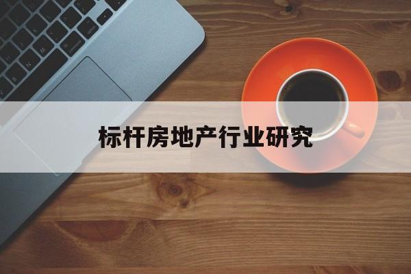 德阳市标杆房地产行业研究(房地产领域的标杆人物)