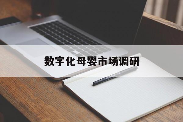 德阳市数字化母婴市场调研(数字化母婴市场调研报告)